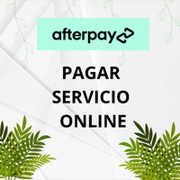 servicio